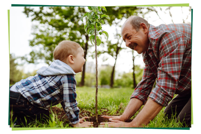 L'ARBRE VERT lessive liquideuide écologiq bébé 1.2 lt, Online Apotheke  Schweiz, Online Drogerie