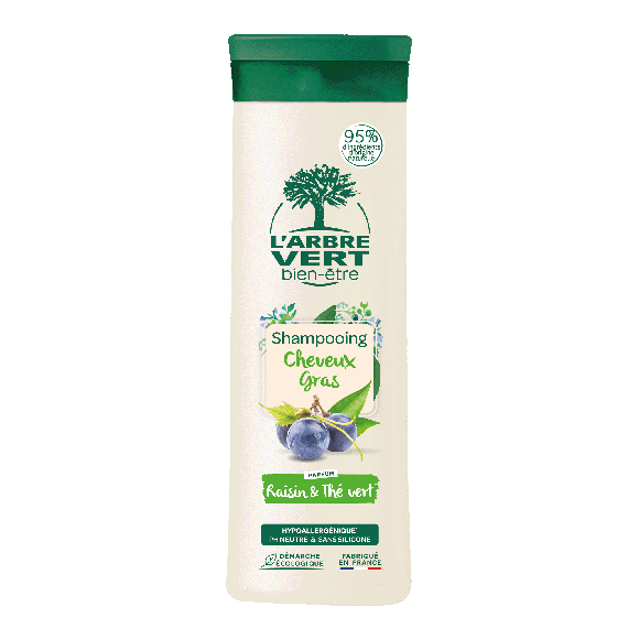 Shampooing écologique pour cheveux gras 250ml