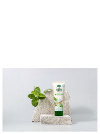 Ökologische Zahnpasta Frische mit Minzenextrakten 75ml | L'ARBRE VERT