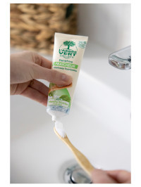 Ökologische Zahnpasta Frische mit Minzenextrakten 75ml | L'ARBRE VERT